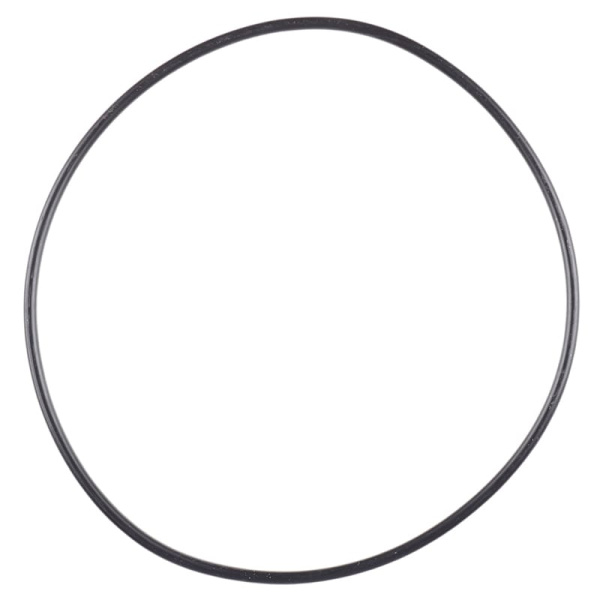 169562