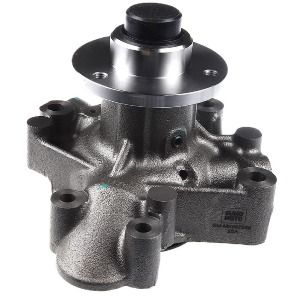 SM-MK667228