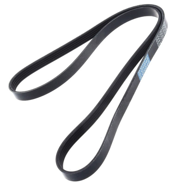 ручейк. 5PK 1365, 30110-RS8-004  Globelt