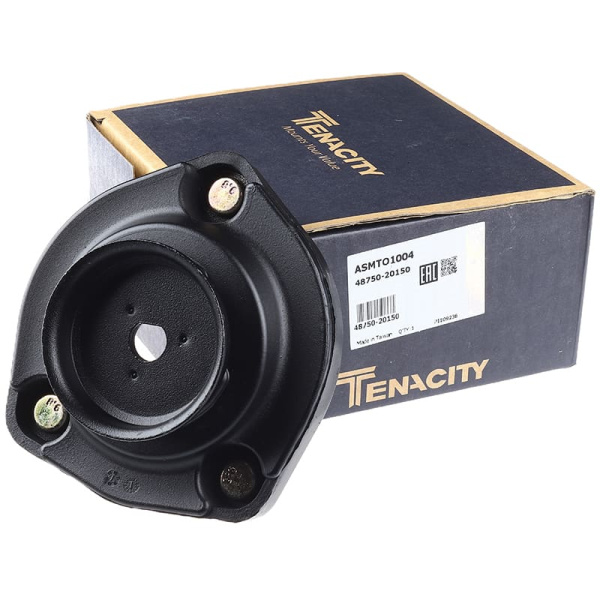 ASMTO1004
