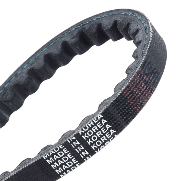 клин. 1295 (2295) Dongil