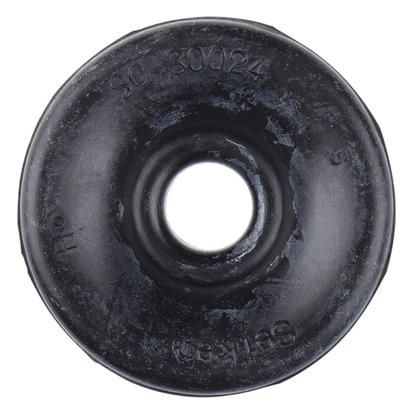 SC30024