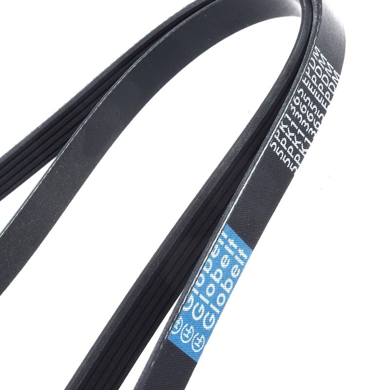 ручейк. 5PK 1365, 30110-RS8-004  Globelt