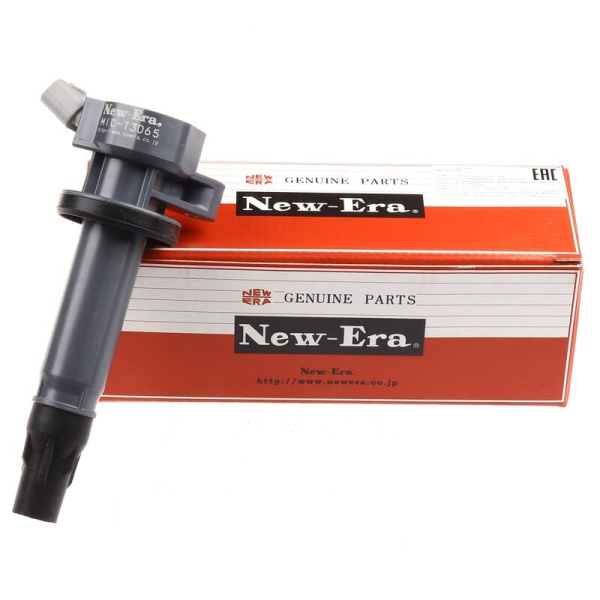 MIC-T3065 NewEra