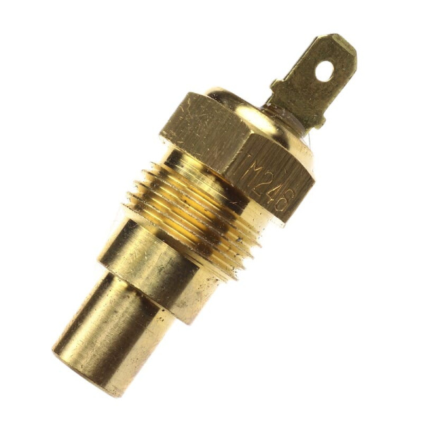 TM-246