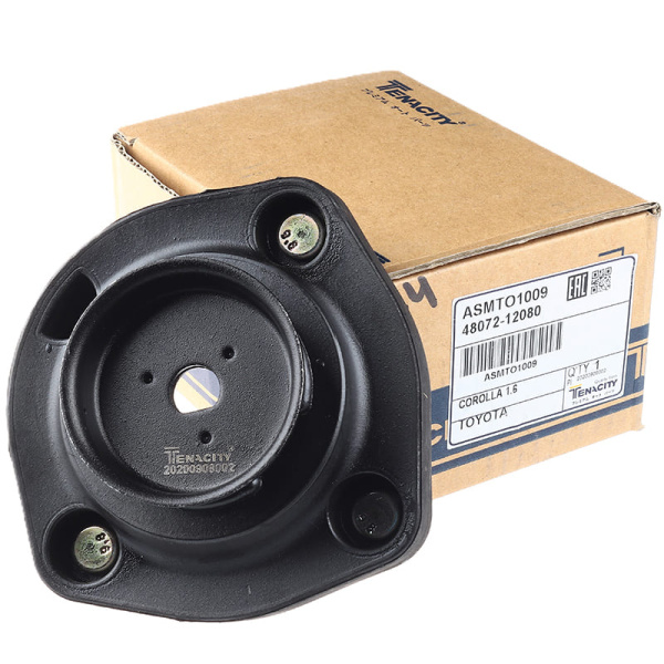 ASMTO-1009