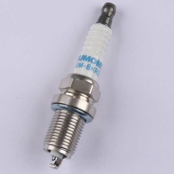 SM-BKR5E-11