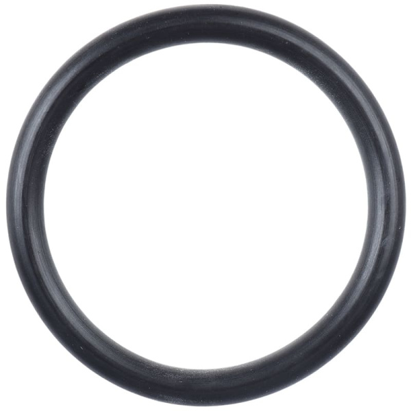 кольцо 33278-77E20 датчика положения распредвала ориг. (^1)