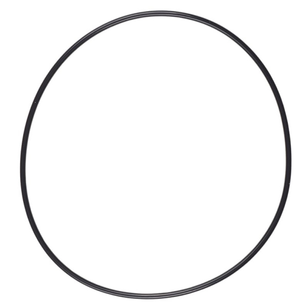 169564