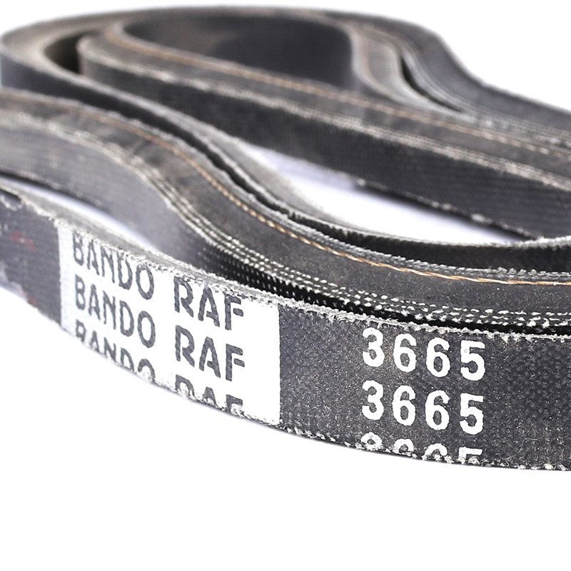 RAF3665