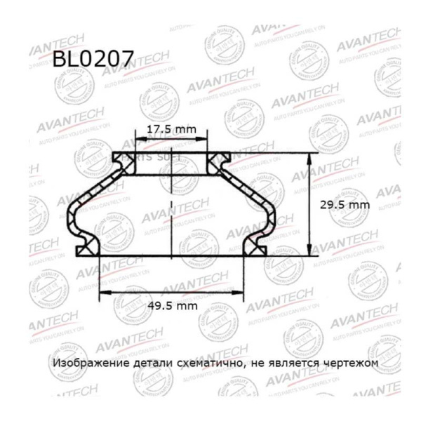 BL0207