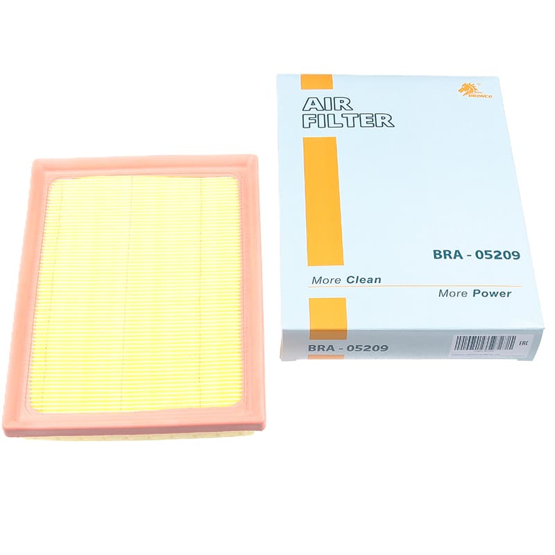 BRA-05209