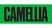 Camellia